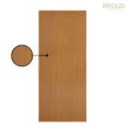 PROUD Model MD01 PVC bathroom door smooth door Coating door Antimold and black period size 70x200x35 cm