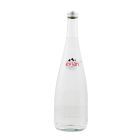 Evian Sparkling Natural Mineral Water (750 ml x 12 bt) ยกลัง