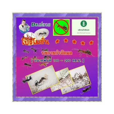 Dr.Plouk-Ants Removal Service(Buildings)-Size100-200 Sq.m.