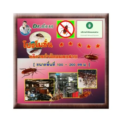 Dr.Plouk-Cockroaches Removal Service(Restaurant)-Size100-200 Sq.m.