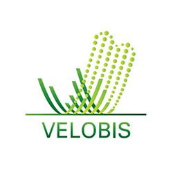 (Inter BU) Velobis